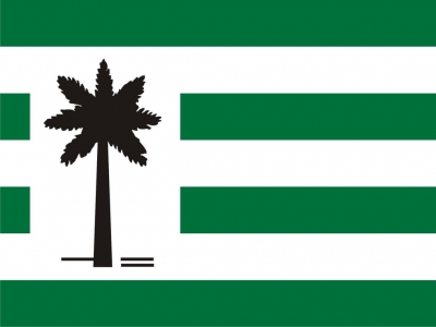 Várzea da Palma tem duas bandeiras- Veja neste site qual delas é a original